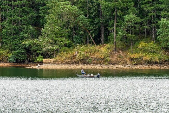 Explore nature at Cooper Creek Reservoir in Fair Oaks, a haven for outdoor activities.