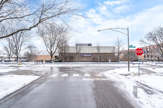 Dirksen Elementary School has 919 enrolled students.