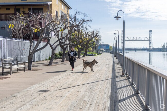 Dog owners love walking the waterfront in Jingletown.