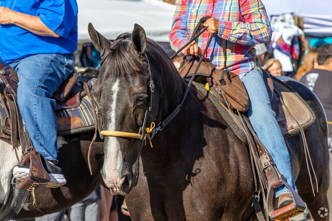 Festival of the Horse has been a celebration of horse heritage for 43 years.