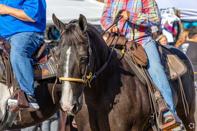 Festival of the Horse has been a celebration of horse heritage for 43 years.