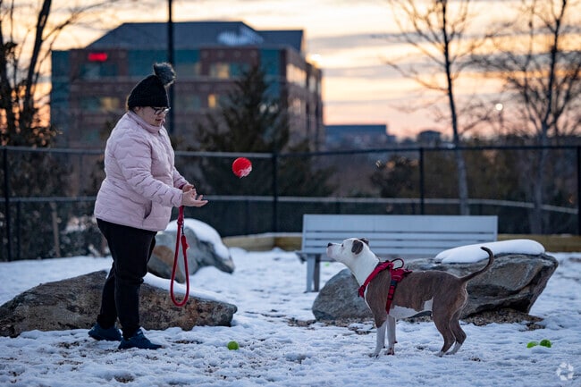 Locals enjoy playing with their furry friends at the dog parks in McNair.