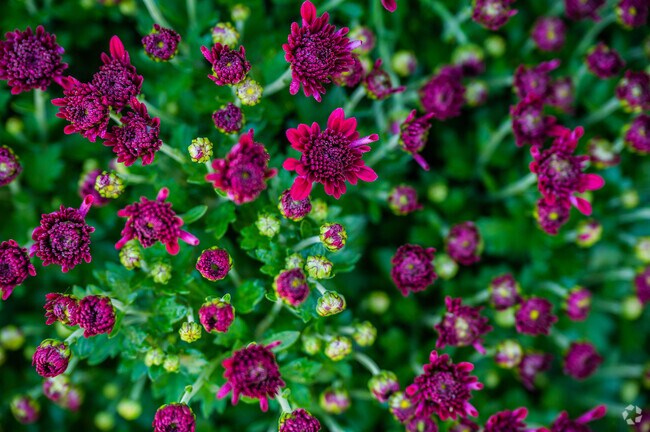 You can find many decorative items for sale outside the main entrance