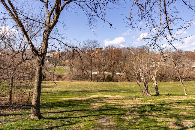 Residents of the West End can enjoy a sunny day lounging in the grass at Francis Field.