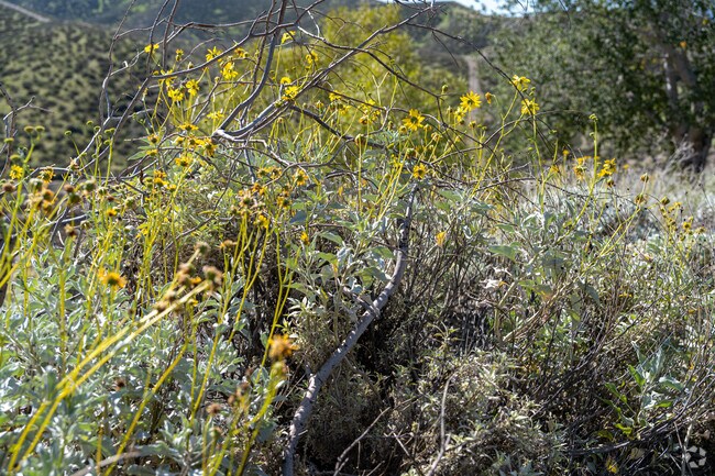 Lake Elsinore Hills is a beautiful area, but residents should stay prepared for wildfire risks.