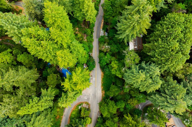 Homes in Lompico are nestled among the towering trees on winding roads.