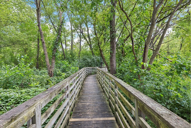 Antioch Chain O Lakes State Park 2of2 071125