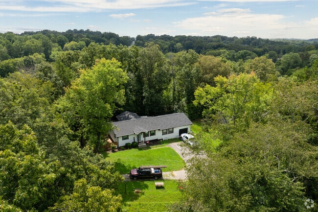 Lush greenery often envelops ranch homes in Amherst, creating a secluded woodland atmosphere.