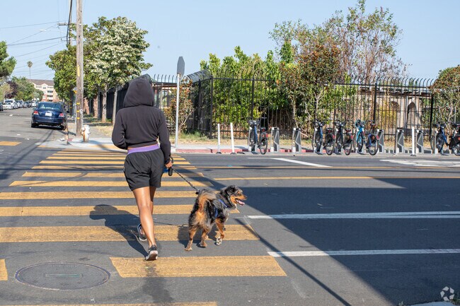 Although a quiet neighborhood, Hoover-Foster has several people out walking dogs daily.