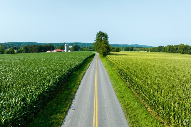 Roads enclosed by beautiful corn fields lead to Fleetwood, Pennsylvania.