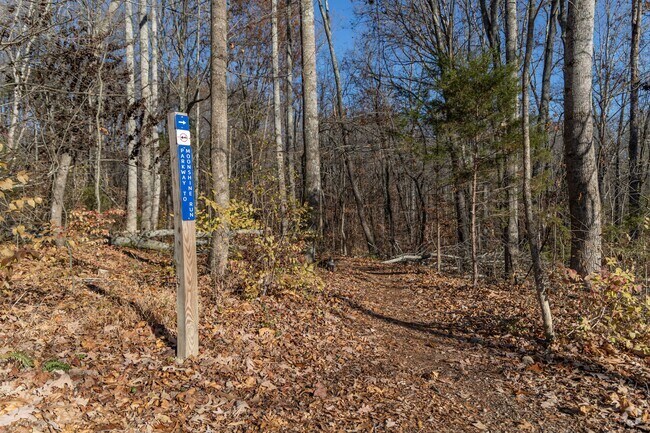 Wilkins Branch Park offers 156 acres of mountain biking near Franklin.