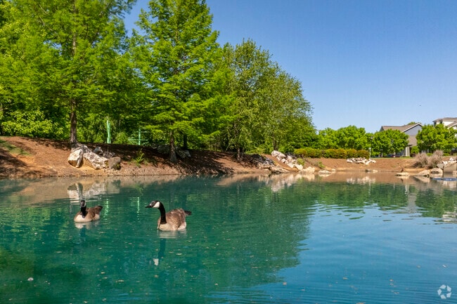 Anita Stroud Park offers scenic views and a peaceful pond for J. T. Williams locals.
