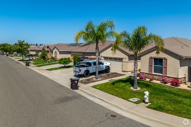 Homes with manicured lawns and palm trees are found throughout Sunridge Park.