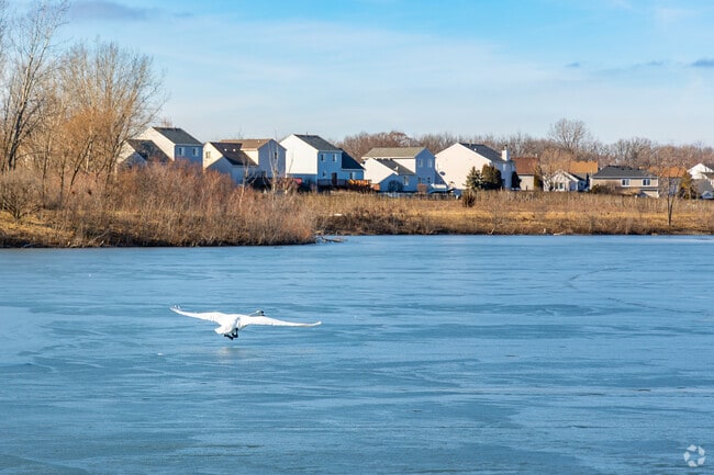 Some homes in Round Lake Beach sit along the scenic waterfronts of Round Lake.