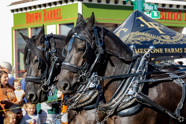 Festival of the Horse has been a celebration of horse heritage for 43 years.