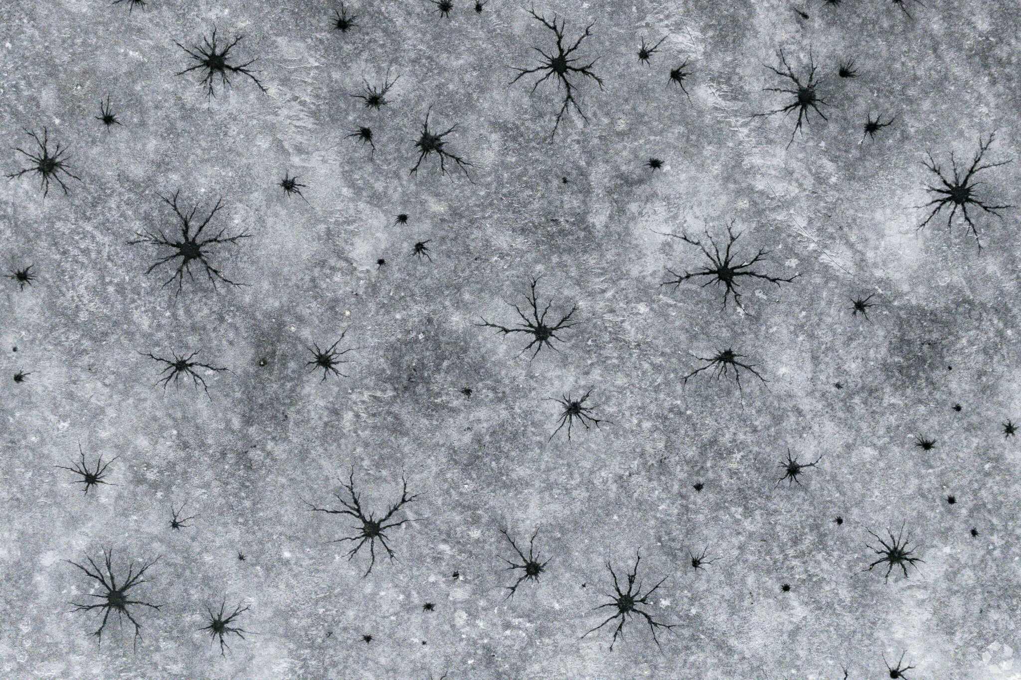 Ice patterns at Quincy Reservoir in Prides Crossing, Colorado.