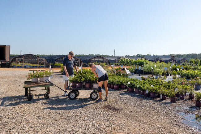 Fairview residents will love shopping for plants at the many nearby nursuries.