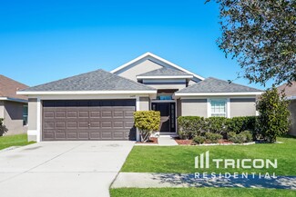 14409 Edinburgh Moor Dr, Wimauma, FL 33598