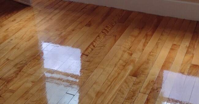 Bedroom beautiful hardwood