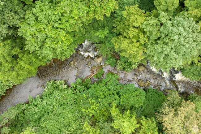 Beautiful Toby Creek runs down the mountain through Trucksville.