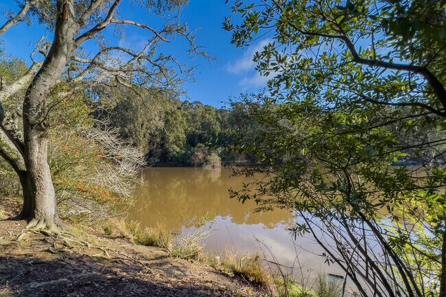 Lake Anza is located inside Tilden Regional Park one of locals' favorite spot during Summer.