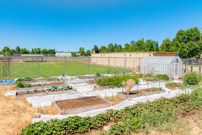 Gardening is an option at Pace Academy.
