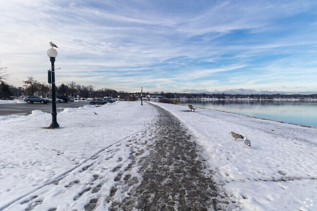 Back Cove Park wraps around Back Cove in Portland, Maine.