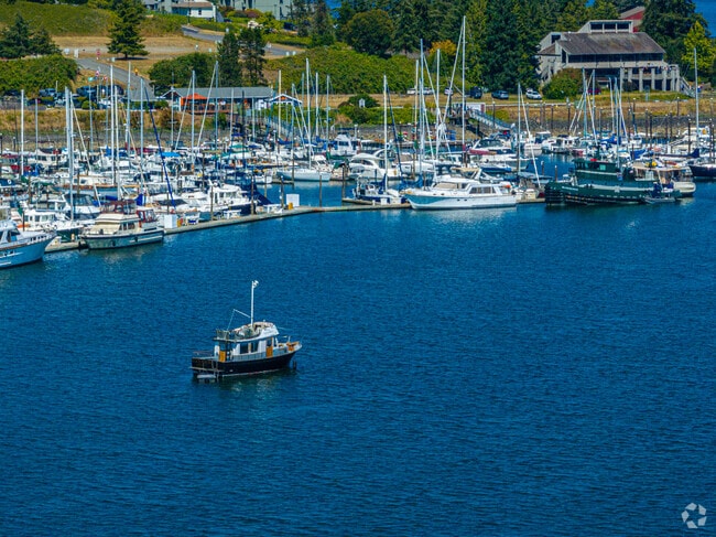 Port Ludlow Marina can host around 300 vessels.