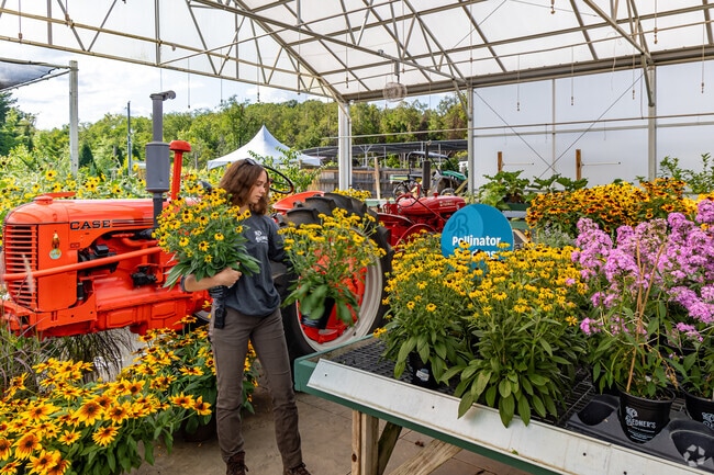 Cecil Township residents head to Bedner's Farm & Greenhouse to add color and life their homes.