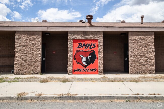 Bradshaw Mountain High Bears Wrestling is a fun student sport.