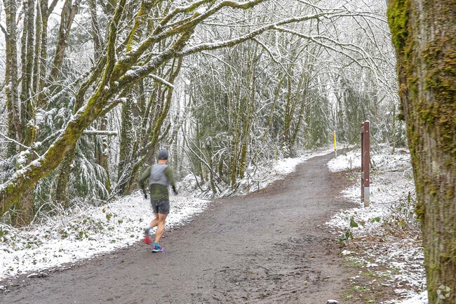 Snow Is A Common Sight In Parks Throughout Sylvan-Highlands.