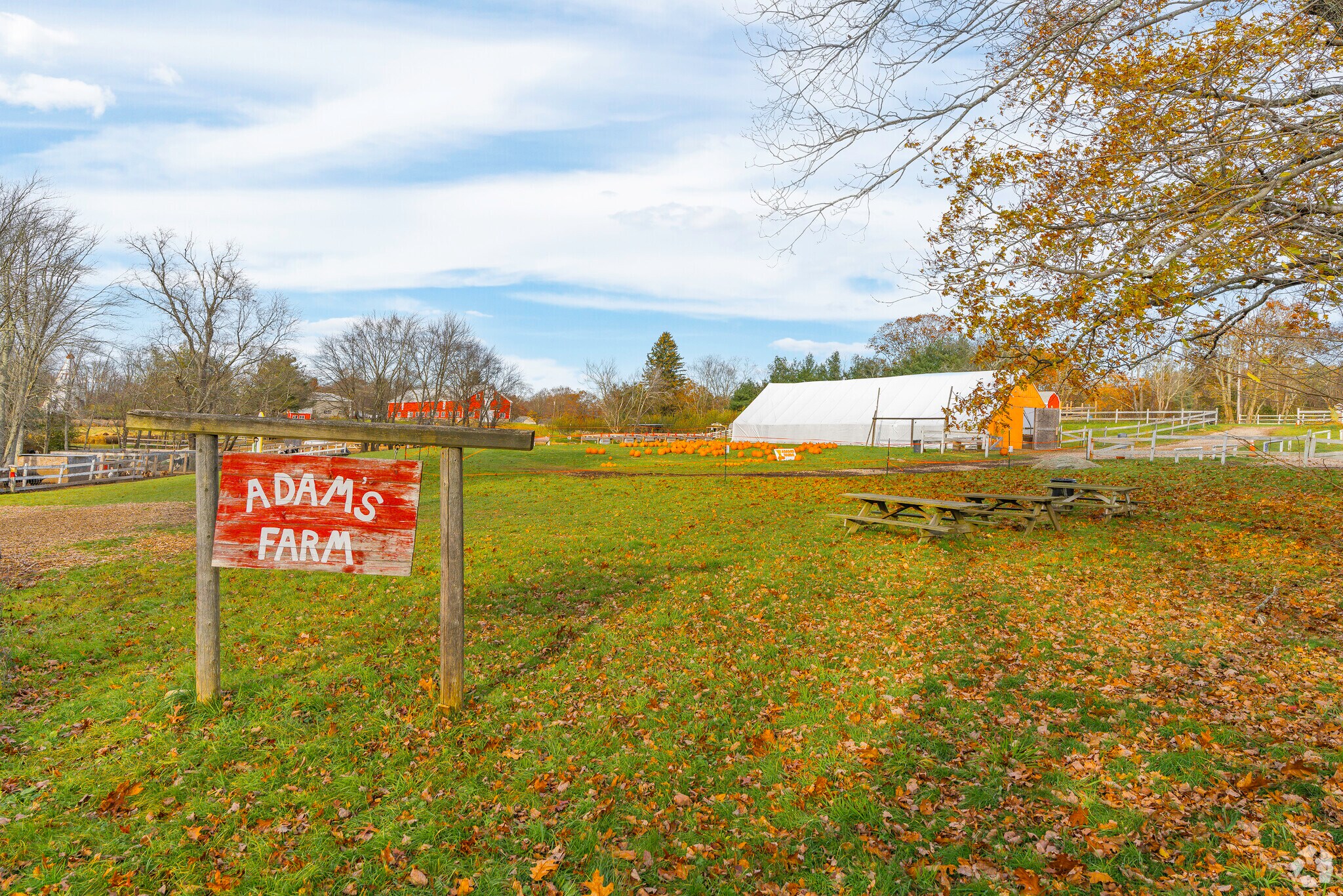 In Grant Mills-Diamond Hill, Adam's Farm boasts a deep agricultural heritage.