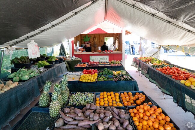 An inside look at Raul's family farm.