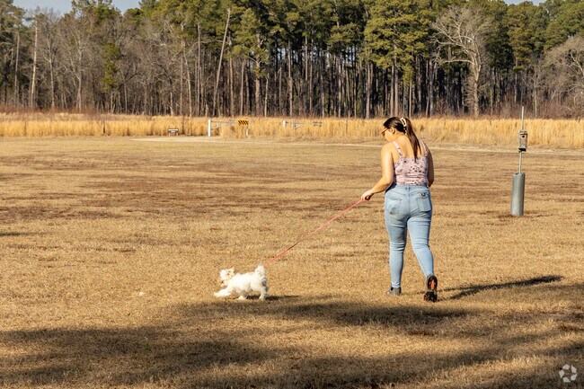 Carvers Creek State Park