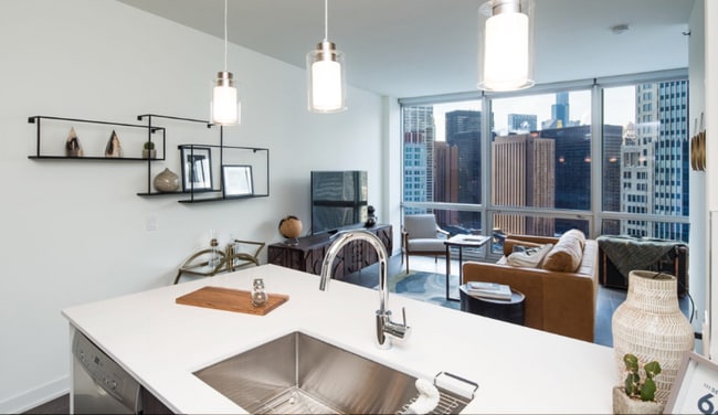 455 N New St, Chicago, IL 60611 - photo 4