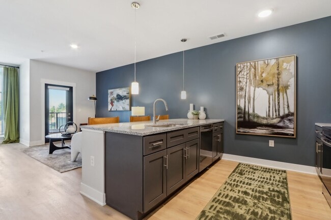 Rise on Meridian, Indianapolis, IN 46225 - photo 6