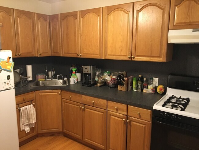 60 Walden St unit 1, Cambridge, MA 02140 - photo 6