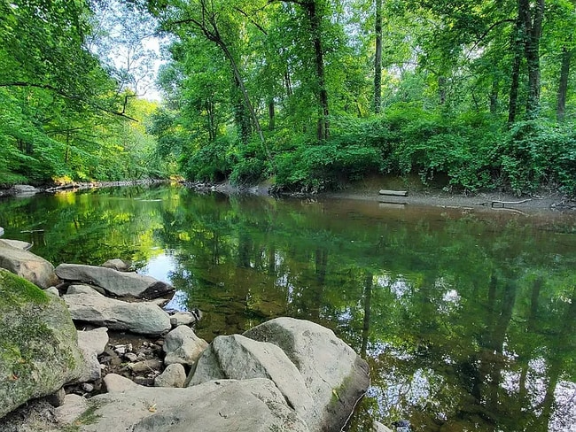 1822 Benton Ave unit A101, Philadelphia, PA 19152 - photo 6