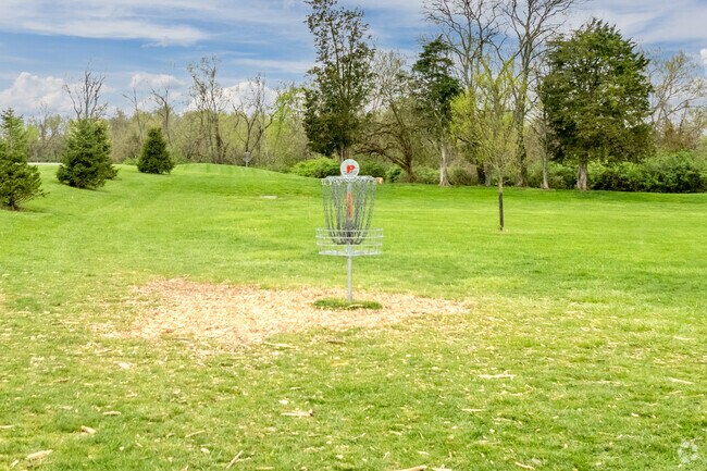 Visitors can enjoy a game of disc golf at Johnson Hills Park in Dry Run.