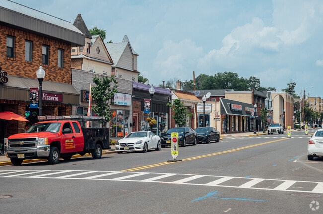Chestnut St is a main thoroughfare of shops and local businesses in Roselle Park.