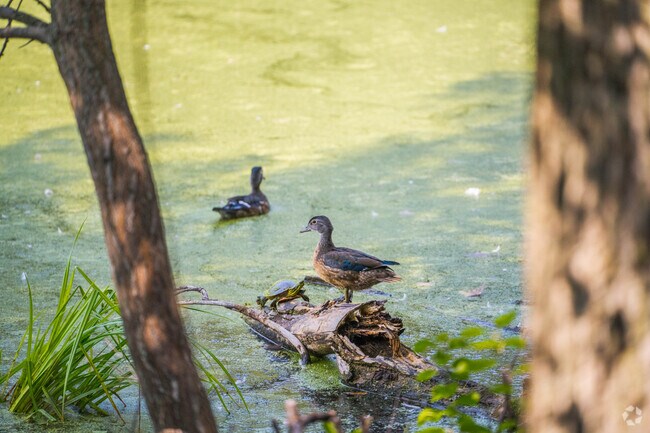 Bredesen Park is home to many wildlife.