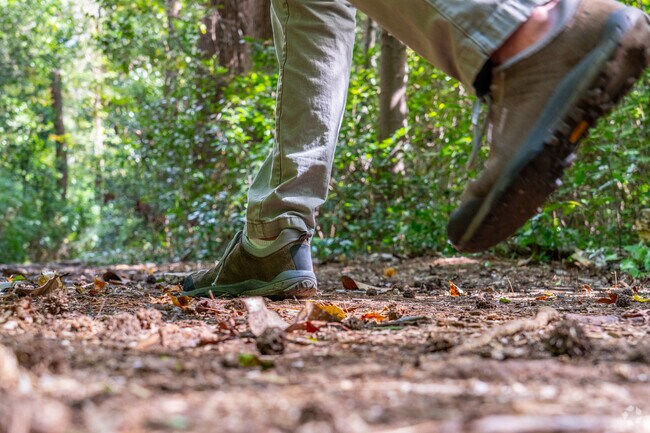 Herbert Bluethenthal Memorial Wildflower Preserve offer a beautiful place for a walk.
