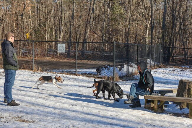 Neighbors meet at the Dog Park near Haggetts to give their pups some excersise.