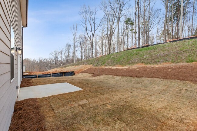 5257 Mulberry Creek Way, Flowery Branch, GA 30542 - photo 4