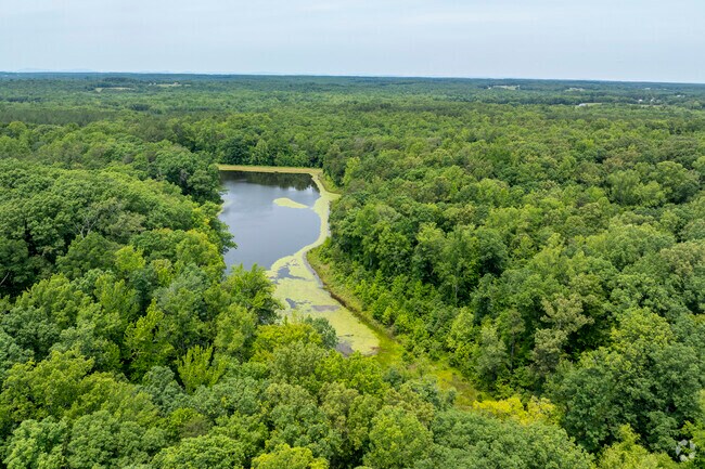 Cumberland County State Forest spans over 16,000 acres and offers miles of hiking trails.
