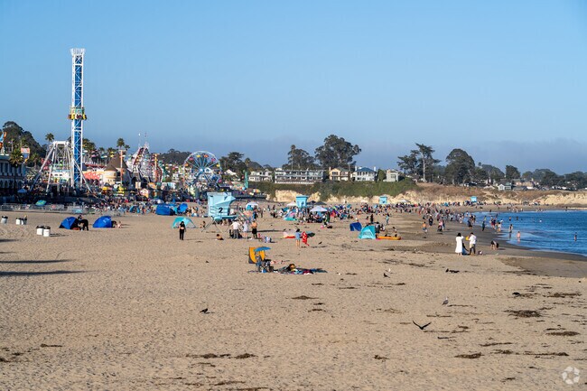 Just 12 miles from Ben Lomond, the Santa Cruz shoreline offers sandy beaches, boardwalk fun, and coastal views, making it a perfect weekend escape for mountain residents.