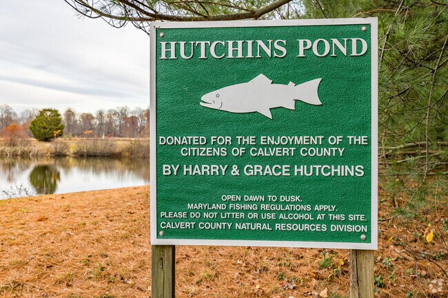 Owings locals unwind at Hutchins fishing pond, a peaceful haven nestled in natural beauty.