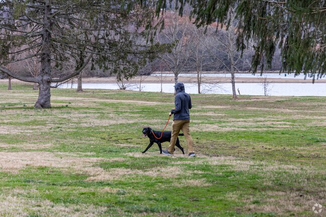 Take your pup out for a walk along the banks of the Tennessee River at Sequoyah Park.
