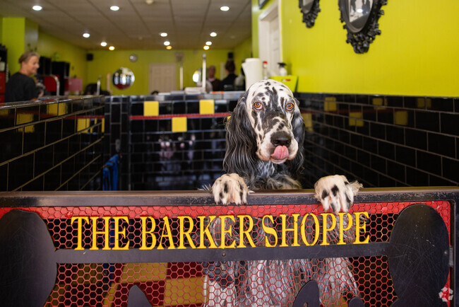 Heron Harbor residents can drop off their dog for a wash at The Barker Shoppe in Antioch.