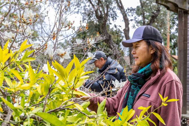 Shinn Historical Park and Arboretum is a 4-1/2 acre hidden gem in Parkmont.